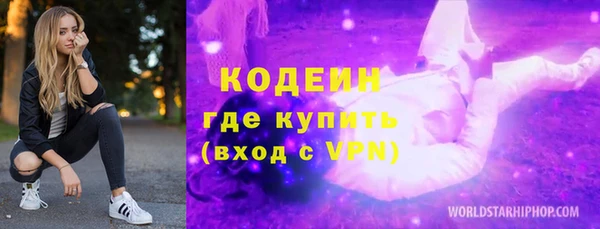 стаф Каменка
