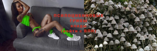 спиды Коряжма